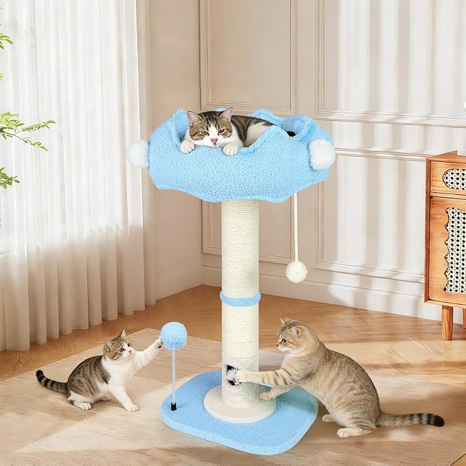 Tall Cat Scratching Post for Indoor Cats Adults, Cat Scratch Post with Sisal Rope Claw Scratcher, Solid Wood Cat Tower with Scratching Post and Cat Toys Mouse Hole, Cute Small Cat Tree, (Blue Sky)
