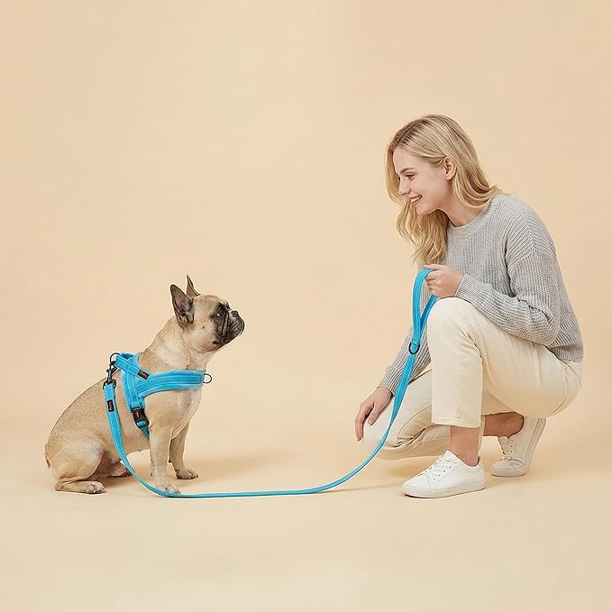 Didog Soft Flannel Padded Dog Vest Harness, No Pull/Quick Fit Reflective Dog Strap Harness, Easy for Training Walking (XS:Chest 15-18", Blue)