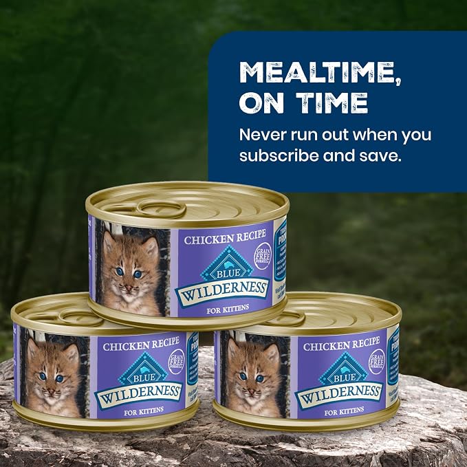 Blue Buffalo Wilderness Kitten Grain-Free Chicken Paté Wet Cat Food with DHA, High-Protein & Made with Natural Ingredients, Supports Healthy Growth & Development, 3-oz. Cans (24 Count)