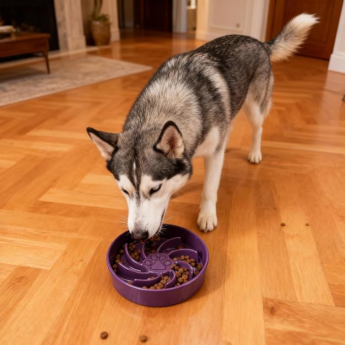 Ceramic Slow Feeder Dog Bowl, 3 Cup Dog Food or 25oz Water, Slow Eating Bowl for Middle Breed, Maze Puzzle Feeder for Fast Eaters, Anti-Choking Stop Bloat, Non-Slip BPA Free (Purple)