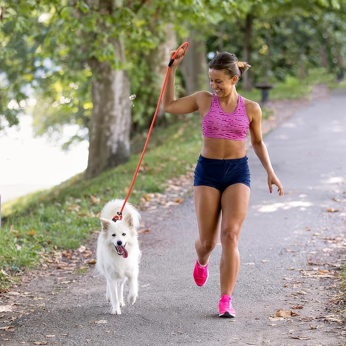 FOVRLZSE 3-Pack Adjustable Dog Slip Leads Pink/Light Blue/Orange - Super-Strong, Easy On/Off, No Collar Needed, Standalone Use, Eye-Catching for Walking/Training