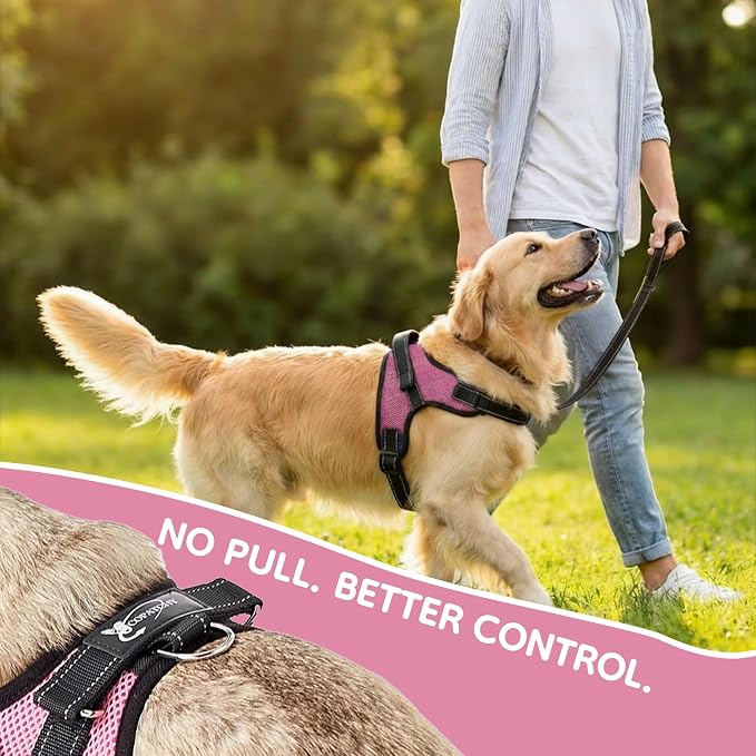 No Pull Reflective Adjustable Dog Harness with Handle- Comfortable Soft All Weather Mesh, Easy On Puppy Harness for Small Medium and Large Dogs (Pink) X-Large