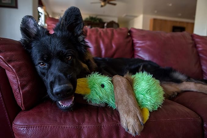 Multipet Duckworth Plush Filled Dog Toy, Assorted Colors, (Pack of 2)
