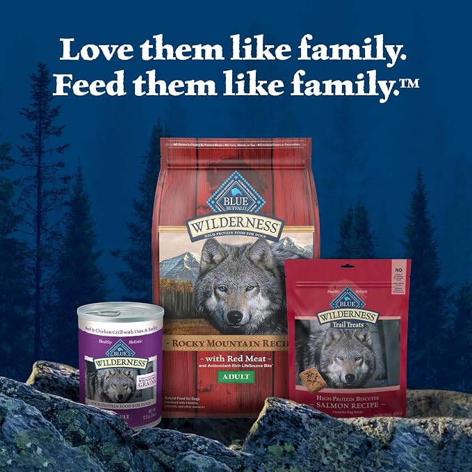 Blue Buffalo Wilderness Trail Treats Salmon Crunchy Dog Biscuits, Grain-Free & High-Protein, Bite-Sized Training Treats Made with Real Salmon & Natural Ingredients, 24-oz Bag