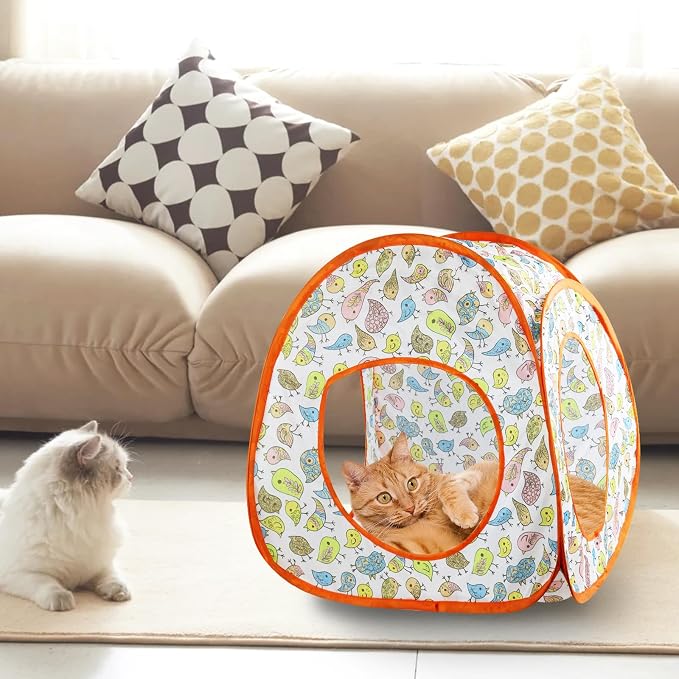 Andiker Cat Tent, 3 Holes Safe and Strong Cute Cats Tunnel Collapsible Easy to Carry Cat House for Indoor Cats Kittens Hiding Playing Training Sleeping (Tent Bird)