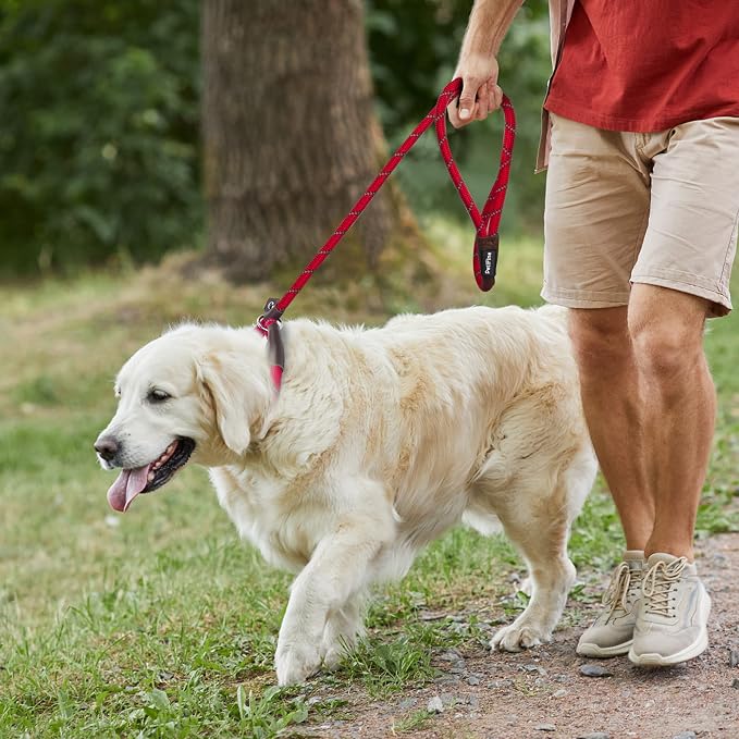 PetiFine Slip Lead Dog Leash,6FT x 1/2" Reflective Durable Dog Training Leash, Heavy Duty Adjustable Nylon Dog Rope Lead for Small Medium Large Dogs (Red)