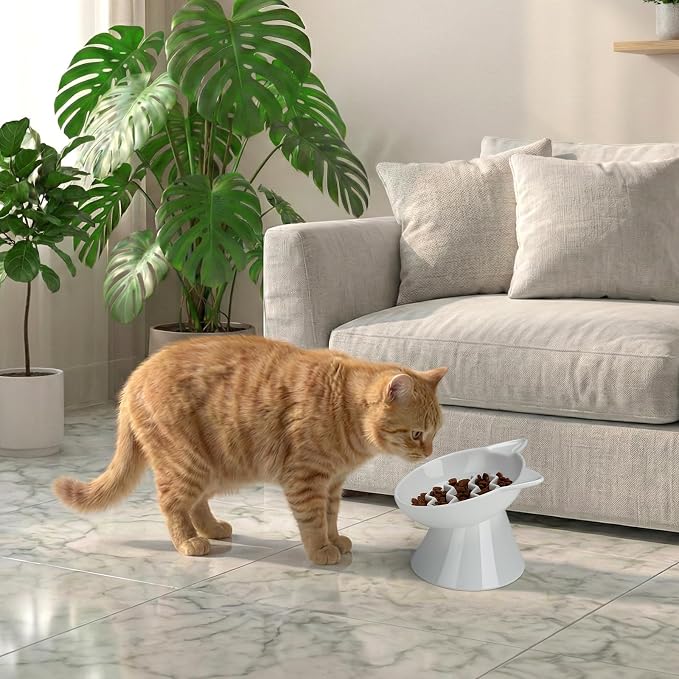 Ceramic Slow Feeder Cat Bowl, 2 Cups Tilted Elevated Cat Slow Feeder Bowl for Dry and Wet Food, Honeycomb Design for Preventing Vomiting & Bloating (White-Cute Kitten)