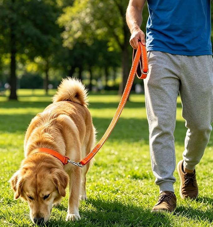 6 FT Reflective Dog Leash, Nylon Heavy Duty Leashes with Soft Padded Handle for Small Medium Large Dogs Walking, 1 Inch Wide Orange