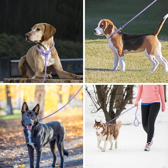 Lynxking Dog Leash Slip Lead Reflective Breathable Rope Comfortable Strong No Pull Slip On Pet Training Lead for Dogs (Light Purple, Large 1/2 inch x 6ft)
