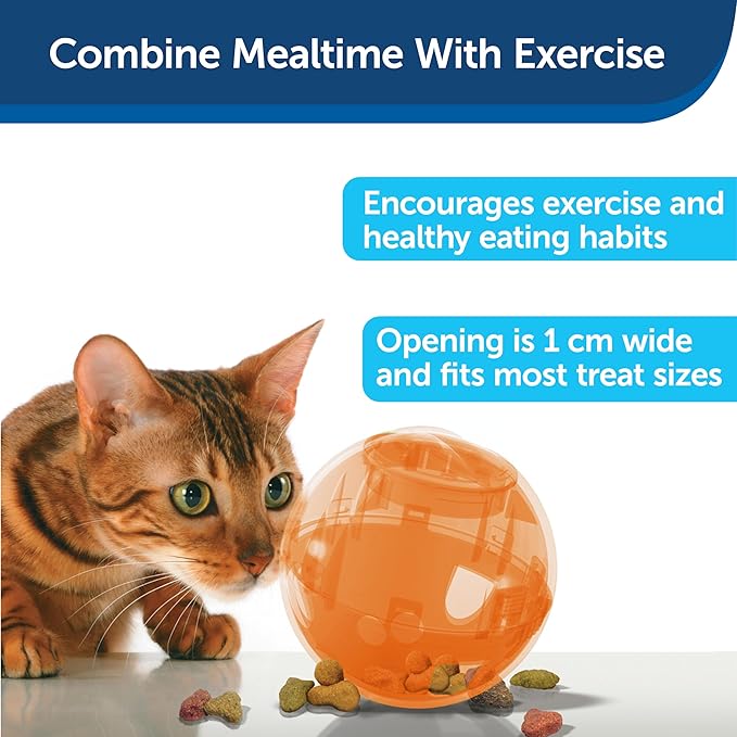 PetSafe Slimcat Feeder Ball - Interactive Game for Your Cat - Fill with Food and Treats - Orange