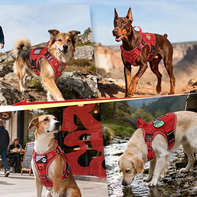 rabbitgoo Tactical Dog Harness for Large Dogs, No Pull Upgraded Reflective Heavy Duty Molle Vest with Handle, Adjustable Military Service Dog Vest for Walking Hiking Training, Red, L