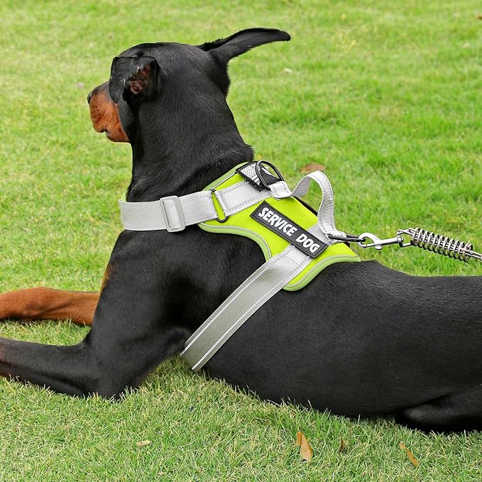 Service Dog Harness, Reflective Dog Vest Harness with 5 PCS Patches, Adjustable Soft Oxford Pet Harness, Inner Layer Mesh, Easy to Control for Small Medium Large Dogs