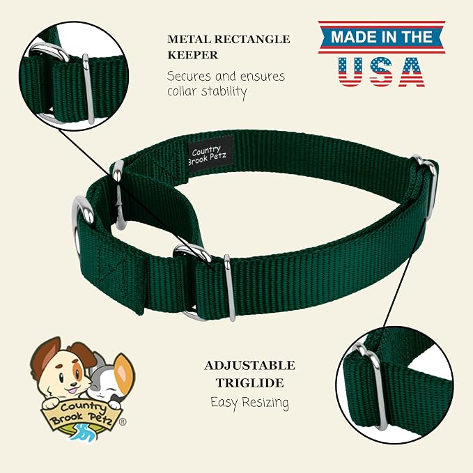 Country Brook Petz - Martingale Dog Collar - Heavy-Duty Training Collar with No Buckle - Service Dog Collar for All Pups - 20 Vibrant Colors (Green, 3/8 Inch, 2XS)
