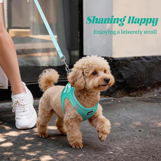 YIMEIS Dog Harness and Leash Set, No Pull Soft Mesh Pet Harness, Reflective Adjustable Puppy Vest for Small Medium Large Dogs, Cats (Tiffany Blue, X-Small (Pack of 1)
