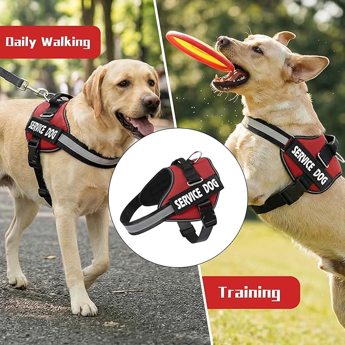 MUMUPET Service Dog Vest, No Pull Reflective Adjustable Harness with Handle, Soft Breathable Padding for Small Dogs, 2 Removable Velcro Patches (Red, XS)