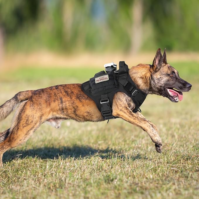 rabbitgoo Tactical Dog Harness Medium Sized, Heavy Duty Pet Harness with Handle, No-Pull Service Vest Medium Breed, Adjustable Military Dog Vest for Training Hunting Walking, Black, M
