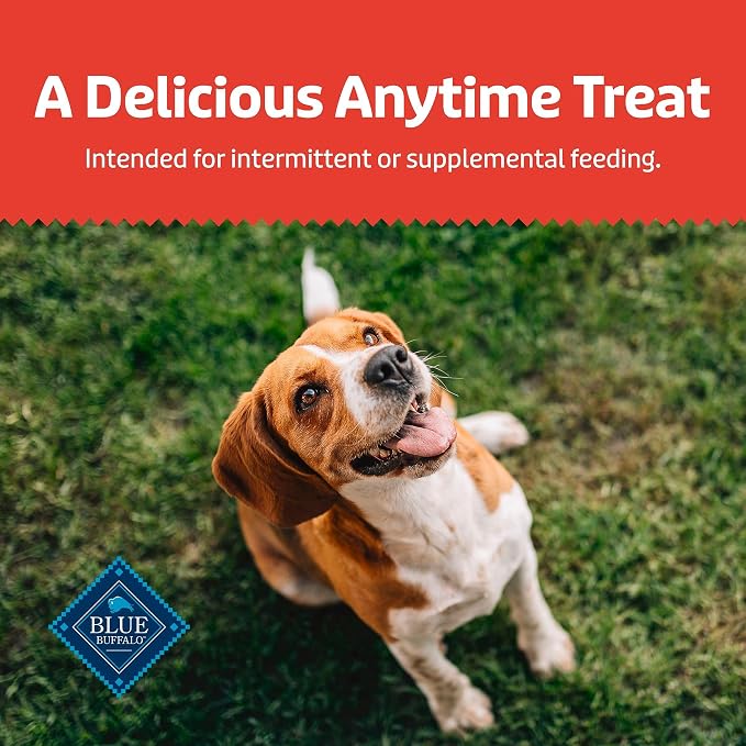 Blue Buffalo Health Bars Dog Biscuits Variety Pack (Bacon Egg Cheese, Apples & Yogurt, Pumpkin & Cinnamon) Healthy Dog Treats with No Artificial Flavors or Preservatives, 16 oz. Each (3 Bags)