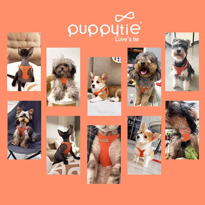 Puppytie XXS Puppy Harness with Multifunction Dog Leash,Soft Adjustable No Choke Escape Proof Pet Harness Vest,Orange,XXS