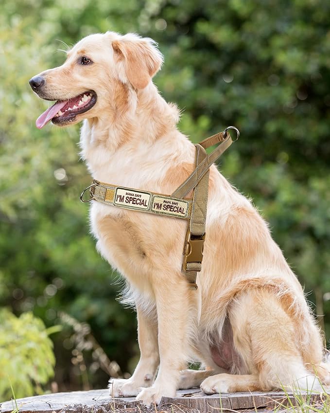 No Pull Dog Harness for Small Medium Large Sized Dogs, Escape Proof Adjustable Dog Harnesses with 2 Patch, Brown Camo, XL