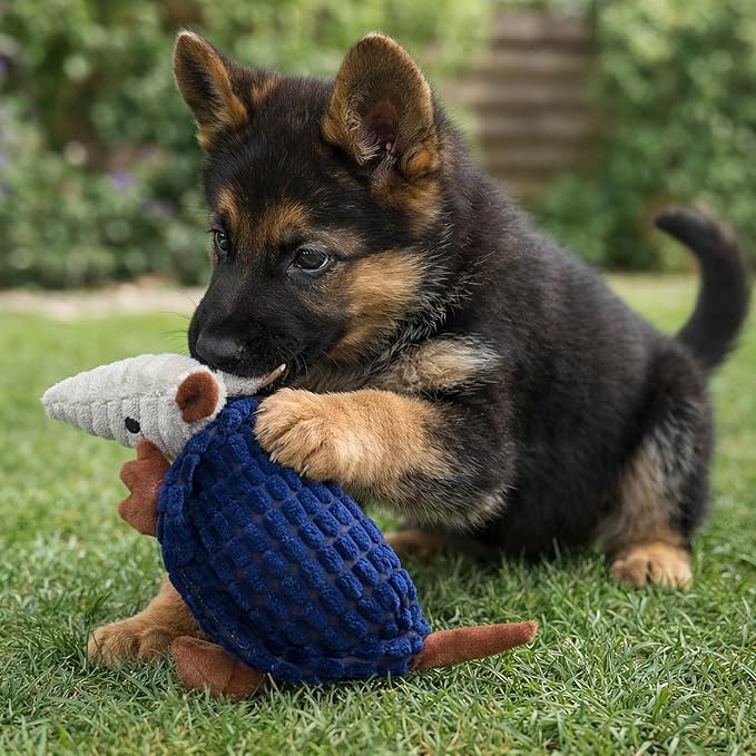 Hollypet Plush Dog Squeaky Toy Stuffed Armadillo Animal Pet Puppy Chew Toys with Clean Teeth for Small Medium Large All Breed Sizes Dogs, Ultramarine, 8 in
