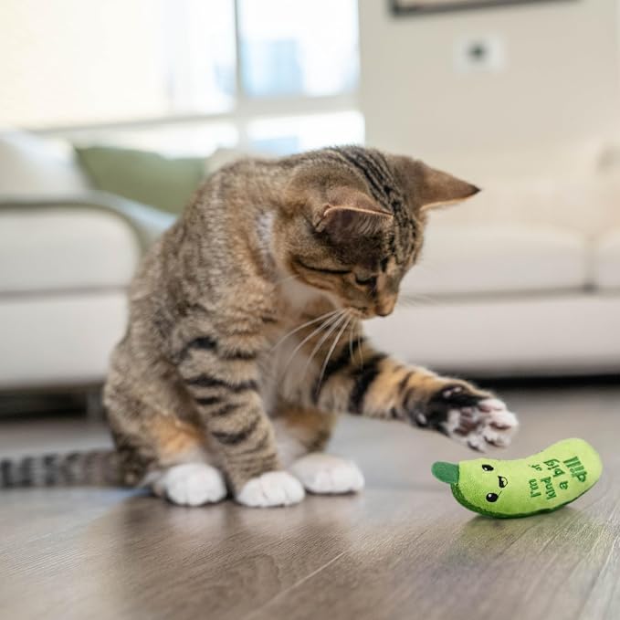 Catstages Crunchy Pickle Kicker Cat Toy – Plush Crinkle Toy with Catnip and Dental Mesh, 6.5" (Pack of 2)