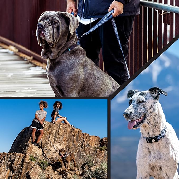 Wolfgang Heavy Duty, Adjustable Dog Collar with Quick Release Nylon Buckle for Walking & Training, WolfMountain Print, Medium