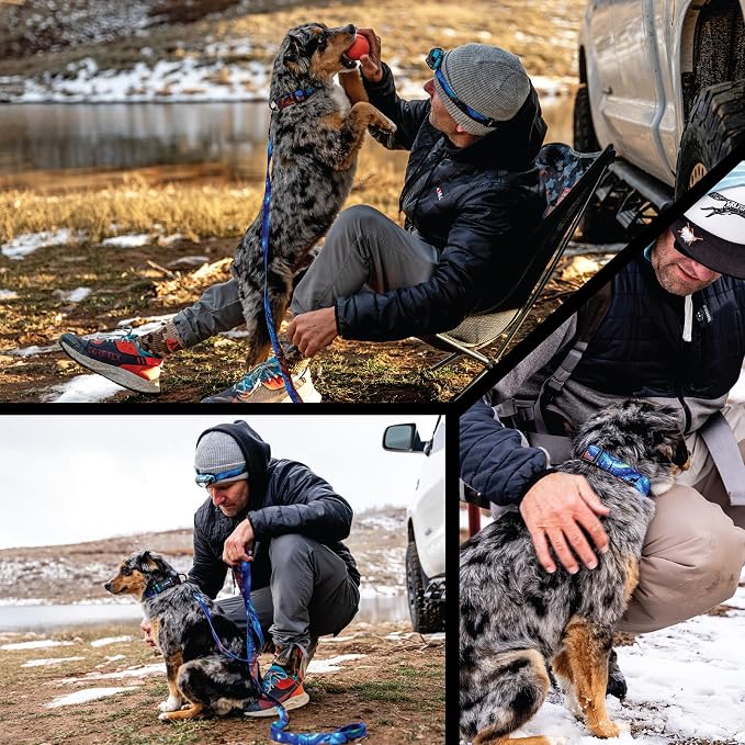 Wolfgang Heavy Duty, Adjustable Dog Collar with Quick Release Nylon Buckle for Walking & Training, StarryWolf Print, Small