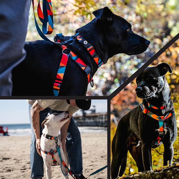 Wolfgang Heavy Duty Adjustable Dog Harness, Pull-Tested to Over 800 lbs for Walking & Training, ShatterShapes Print, Large