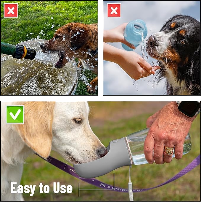 Mr. Pen- Portable Dog Water Bottle, 19 oz, Large, Leak Proof Puppy Water Dispenser with Drinking Feeder for Pets, Outdoor Walking, Hiking, Travel, Not Dishwasher Safe