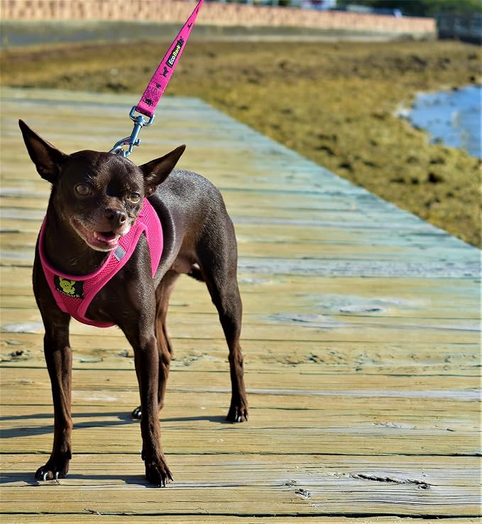EcoBark Premium Quality Small Dog Harness - Step in Reflective Luxury Soft Mesh Harnesses for Puppies, Toy Breeds, & Small Dogs - Comfortable & Safe Body Halter - Adjustable Pet Vest (Small, Pink)
