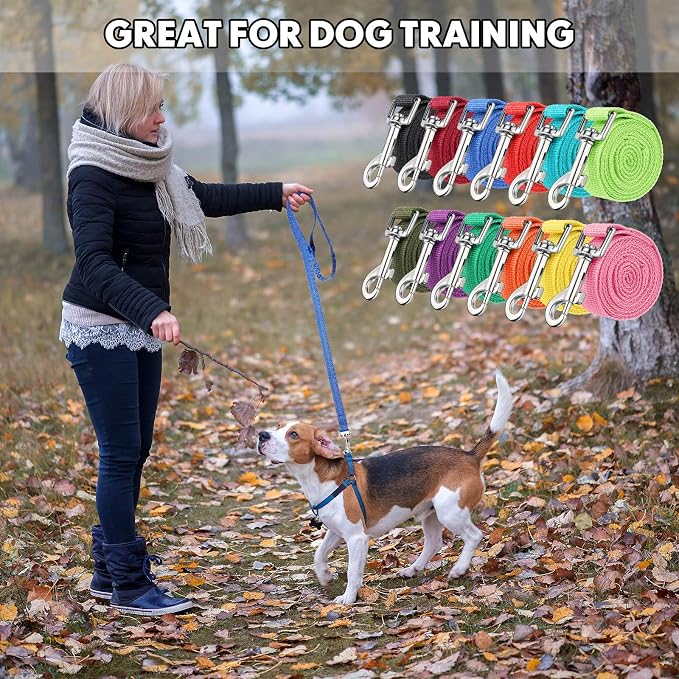 Hillban 12 Pcs Nylon Puppy Training Leash Bulk 5ft Dog Leash for House Line 12 Colors Puppy Line Traction Rope for Small Medium Dog Training, Play, Camping, or Backyard(Bright Colors)