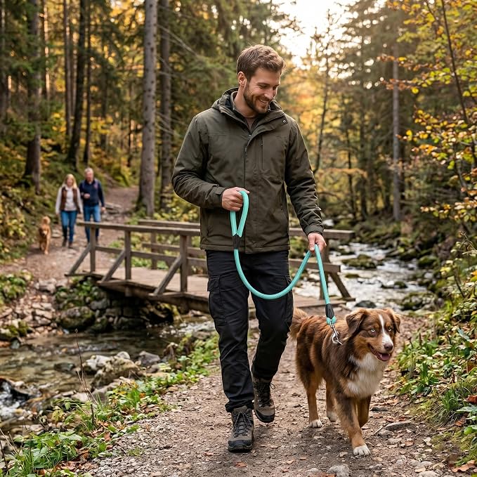 Dog Leash with Padded Handle, Durable Nylon Pet Lead for Small Medium Large Dogs, Heavy Duty Swivel Hook for Walking Training Hiking, 5ft Long Teal Puppy Leash(Turquoise,5 FEET)