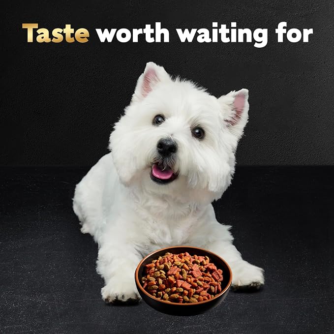 Cesar Small Breed Dry Dog Food for Small Dogs, Rotisserie Chicken Flavor and Spring Vegetables Garnish, 12 lb Bag