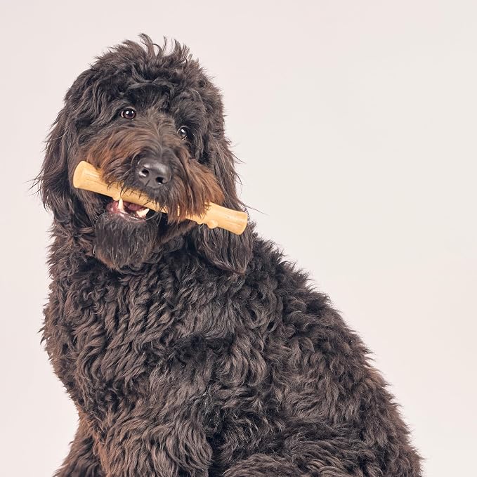 SPOT Bam-Bones Plus Bamboo Stick - Bamboo Fiber & Nylon, Durable Long Lasting Dog Chew for Aggressive Chewers – Great Toy for Adult Dogs & Puppies Under 90lbs, Non-Splintering, 9.5in, Chicken Flavor