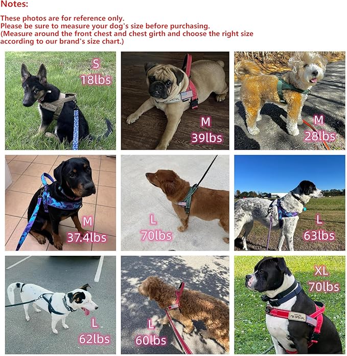 Annchwool No Pull Dog Harness with Soft Padded Handle-Reflective Strip Escape Proof and Quick Fit to Adjust Dog Harness-Easy for Training Walking for Small & Medium and Large Dogs(Green,XS,1 In Width)