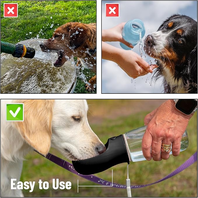 Mr. Pen- Portable Dog Water Bottle, 19 oz, Large, Leak Proof Puppy Water Dispenser with Drinking Feeder for Pets, Outdoor Walking, Hiking, Travel, Not Dishwasher Safe