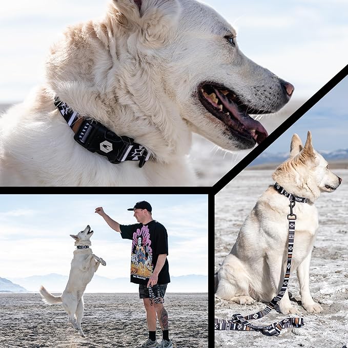 Wolfgang Heavy Duty, Adjustable Dog Collar with Quick Release Nylon Buckle for Walking & Training, NewMoon Print, Small
