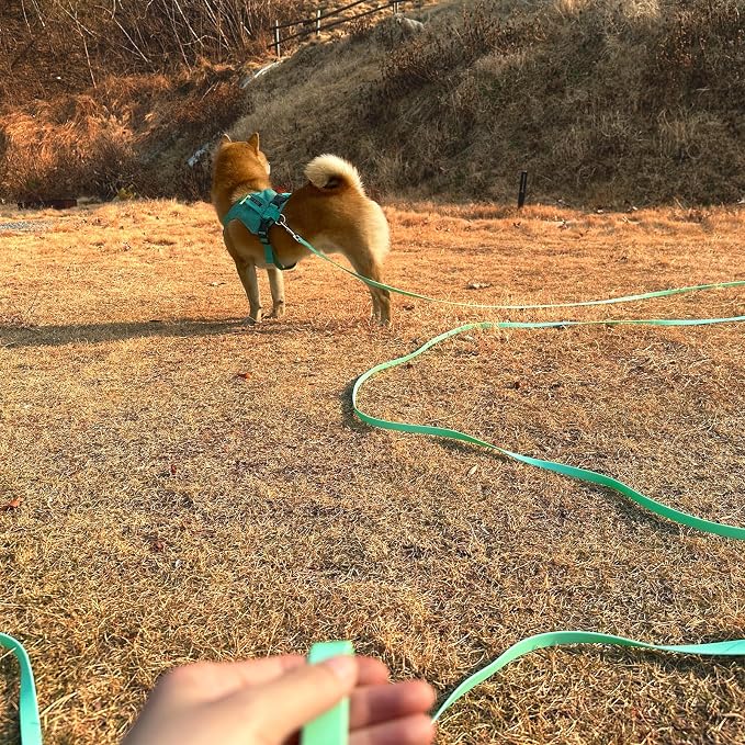 Waterproof Long Leash Durable Dog Recall Training Lead Great for Outdoor Hiking, Training, Yard, Beach and Swimming (Light Green, 50ft)