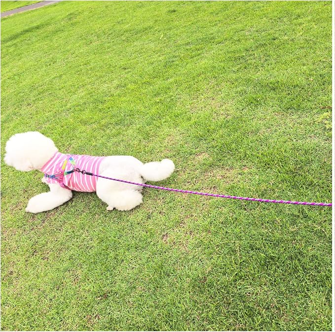 MayPaw Heavy Duty Rope Dog Leash, 6/8/10/15/20/30 FT Long Dog Lead Nylon Pet Leash, Soft Padded Handle Thick Lead Training Leashes for Large Medium Dogs (20ft * 1/2", Purple)