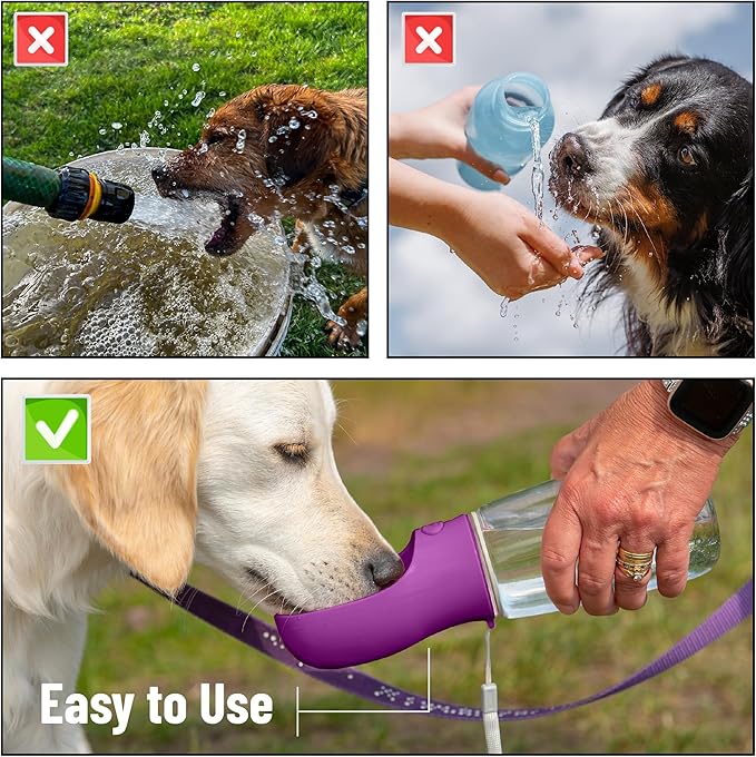 Mr. Pen- Portable Dog Water Bottle, 19 oz, Large, Leak Proof Puppy Water Dispenser with Drinking Feeder for Pets, Outdoor Walking, Hiking, Travel, Not Dishwasher Safe