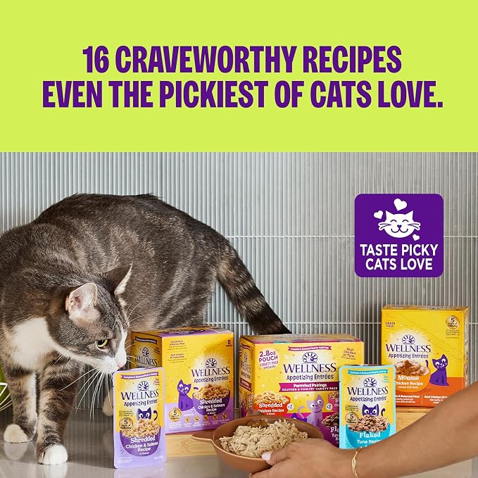 Wellness Appetizing Mousse Flaked Adult Wet Cat Food, Natural, Protein Rich, Grain Free, Chicken and Lamb Recipe, 2.8 oz, Pack of 8 Pouches