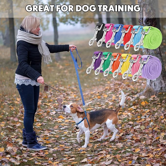 Hillban 12 Pcs Nylon Puppy Training Leash Bulk 5ft Dog Leash for House Line 12 Colors Puppy Line Traction Rope for Small Medium Dog Training, Play, Camping, or Backyard(Modern Colors)