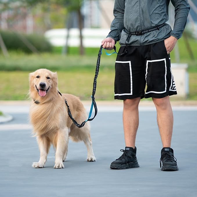 iYoShop Hands Free Dog Leash with Zipper Pouch, Dual Padded Handles and Durable Bungee for Walking, Jogging and Running Your Dog (Colorful Rhombus, Large)