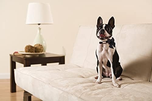 Unique style paws Silk Black Dog Collar with Bow, Adjustable, Durable, for Medium Dogs