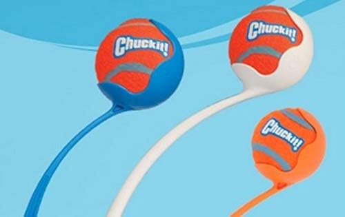 Chuckit! Dog Tennis Ball Dog Toy, Large (3 Inch Diameter) for dogs 60-100lbs, Pack of 1