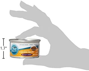 Purina ONE Natural High Protein Cat Food, Chicken Recipe in Wet Cat Food Gravy - (Pack of 48) 3 oz. Pull-Top Cans
