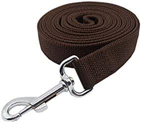 Strong Nylon Dog Leash with 2-Layer, 4 FT/ 6 Feet Long, 1 Inch Wide for Medium Large Dogs (1'' x 5 FT, Brown)