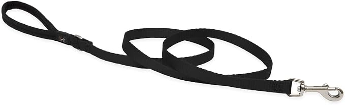 LupinePet Basics 1/2" Black 4-foot Padded Handle Leash for Small Pets