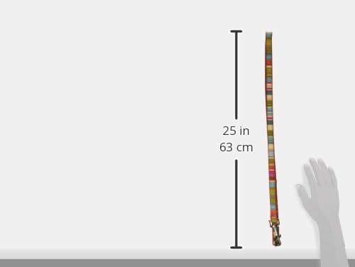 Small Red/Multi Stripe Dog Leash: 3/4" Wide, 4ft Length - Made in USA.
