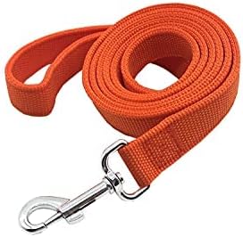 Strong Nylon Dog Leash with 2-Layer, 4 FT/ 6 FT/ 7FT Long, 1 Inch Wide for Medium Large Dogs (Orange, 1'' x 2 FT)